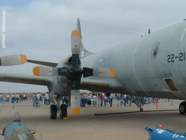 Spanish P-3A Orion 38