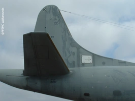 Spanish P-3A Orion 24