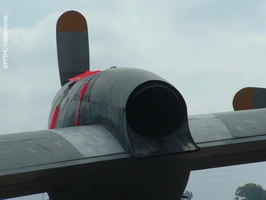 Spanish P-3A Orion 21