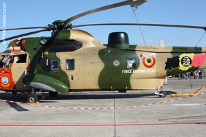 Westland Sea King Mk 48 (Force Aérienne Belge - Belgische Luchtmarcht) 36