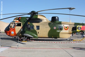Westland Sea King Mk 48 (Force Aérienne Belge - Belgische Luchtmarcht) 32
